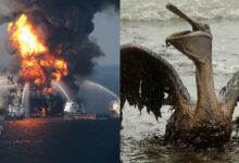 Tarihin En Büyük Petrol Faciası Deepwater Horizon
