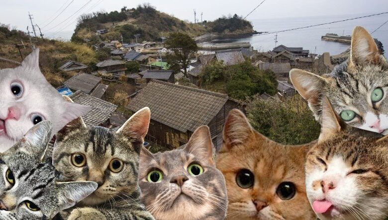 Kedilerin Egemenliğini İlan Ettiği Kedi Adası Aoshima