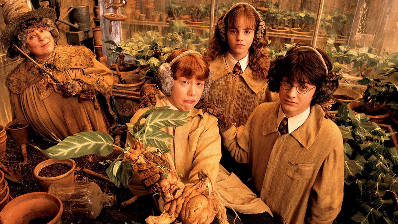 Harry Potter bitkiler