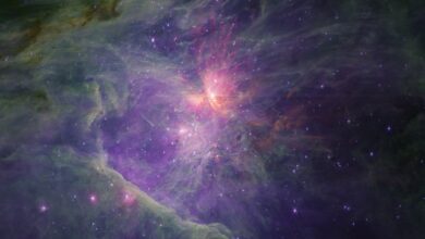 NASA'dan üretilmiş tüm teorilere zıt keşif: Orion Bulutsusu'nda 42 çift gezegenimsi cisim bulundu - Son Dakika Teknoloji Haberleri